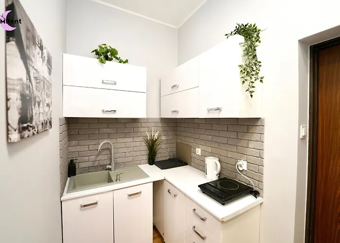 Mmrent Monarch Séjour chez l'habitant Gdańsk